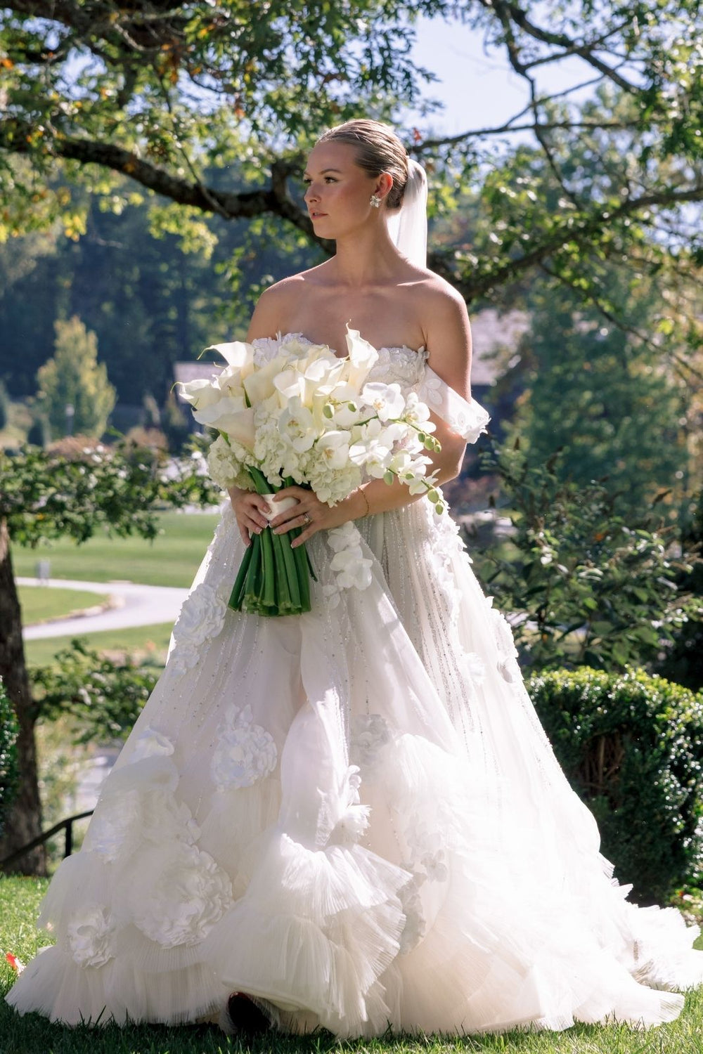 allusre wedding dress with a matching veil